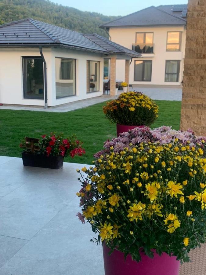 Vila Diamond Lux&Spa Sovata Bagian luar foto
